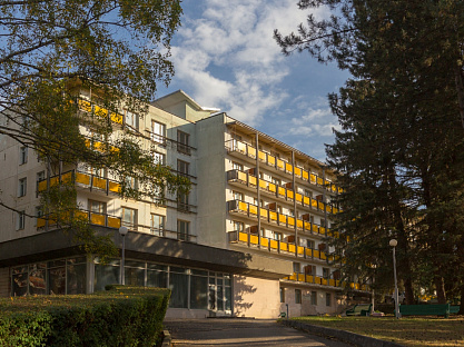 Санаторий «Пикет», Кисловодск. Территория